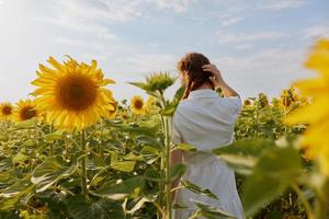 mujer con coletas en un blanco vestir soportes con su espalda en un campo de girasoles foto