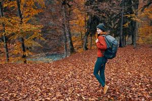 contento joven mujer con un mochila en pantalones botas y un suéter son caminando en el otoño bosque cerca el alto arboles foto