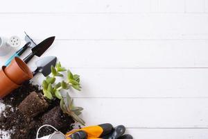 Home plants and the soil, pots and gardening tools flat lay, top view. Home gardening concept. Copy space photo