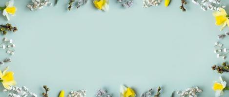 Spring banner with flat lay floral composition on pastel green background with copy space. Daffodils and willow top view photo