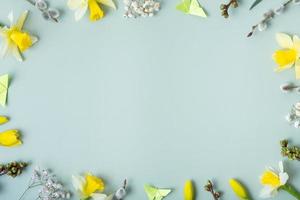 Spring flowers flat lay frame composition on pastel green background with copy space. Daffodils and willow with butterfly top view photo