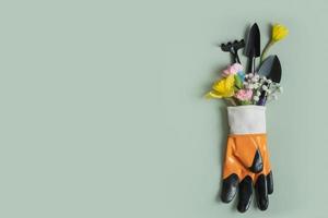 Protective glove with hand tools and flowers with copy space. Gardening, planting still life concept. Flat lay, top view photo