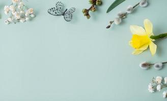 Spring flowers flat lay frame composition on colored background with copy space. Daffodils and willow with butterfly top view photo