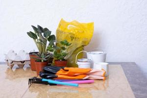 Plants and gardening tools with gloves, pots on marble table. Home gardening, planting concept photo