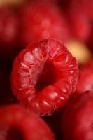 antecedentes de maduro rojo frambuesas frutas natural sano vitaminas poder grande Talla alto calidad botánico impresión rubus Phoenicolasius familia rosaceae foto
