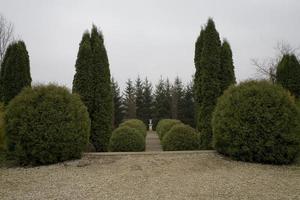 historic park with a path among ornamental evergreen shrubs on a gray autumn day photo