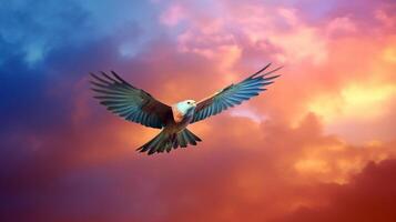 a heavenly bird flying in the sky centered colorful Background photo