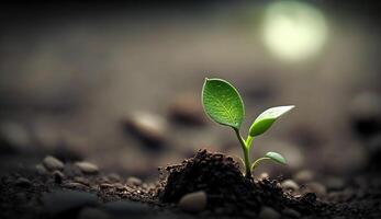 generativo ai, joven planta creciente en luz de sol desde el suelo, macro fotorrealista ilustración, agrícola vegetal. naturaleza orgánico sano granja comida concepto, horizontal bandera. foto