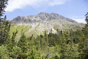 Skagway Town Upper Dewey Lake Forest And Mountain photo