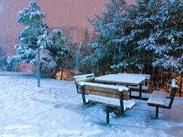 it's snowing on the benches in the park at night photo