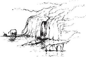 Sketch of wild animal around the river vector