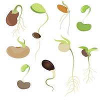 Sprouting seed vector set. Seeds with root sprouting. Sprouts flat vector isolated on white background. Cartoon illustration. Sprouted seeds colection.