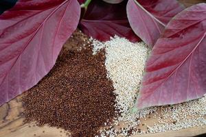 Chenopodium quinoa red or white seed on a wooden table photo