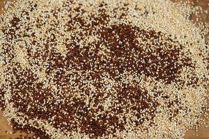 Chenopodium quinoa red or white seed on a wooden table photo