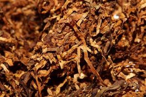 Rolling dried tobacco leafs close up background big size high quality stock photos smoking addict self made cigarettes and joint