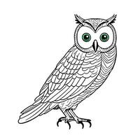 Owl drawing. The illustration was created using . photo