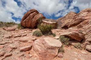 único rock formaciones y mojave yuca planta en las vega, Nevada foto