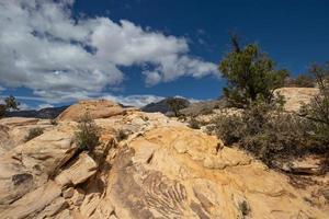 Beautiful view of unique rock formations in the desert photo