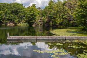 wooden dock on a lake with lily pads photo