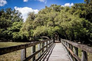 paseo marítimo mediante el pantano foto