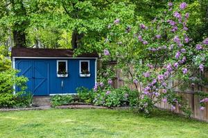 Blue garden shed in the backyard photo