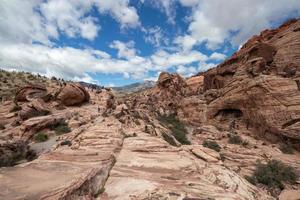 área de conservación nacional del cañón de roca roja en nevada foto