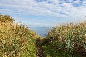 path to the sea photo