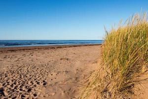 The beach at Covehead Harbour Lighthouse, Prince Edward Island photo