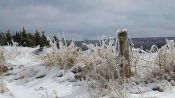 winter ice storm leaves snow and ice on a rural farm fence photo