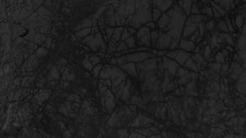 Dark background texture of natural stone photo