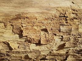 Old vintage rustic aged antique wooden panel texture photo