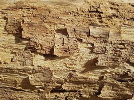 antiguo Clásico rústico Envejecido antiguo de madera panel textura foto