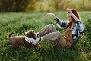 Happy woman sitting in nature and playing with her pet in the park sitting on the green grass in the summer sunlight in the evening, playing in nature photo