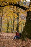 young woman in jeans caps sweaters with a backpack on the back under a tree in the autumn forest photo