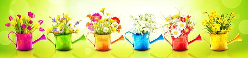 Colorful wild flower bouquet in a watering can. Concept of spring and gardening. photo