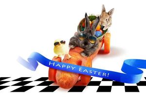 Funny Easter bunny. Happy Easter holiday concept. photo