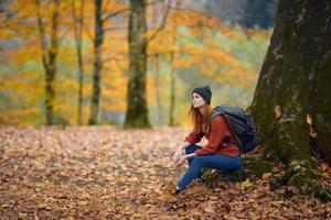 portrait of a woman in a sweater and jeans and a hat under a tree in the autumn forest photo