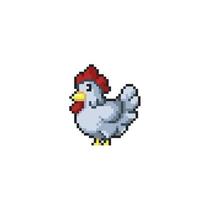 white chicken in pixel art style vector