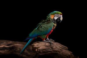 guacamayo loro en oscuro antecedentes. ai generativo foto