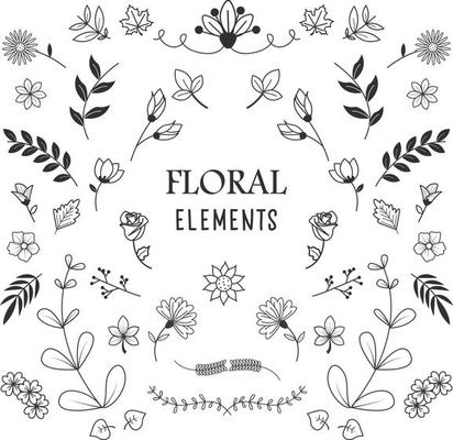 set of floral and botanical elements. Vector illustration