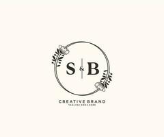 initial SB letters hand drawn feminine and floral botanical logo suitable for spa salon skin hair beauty boutique and cosmetic company. vector