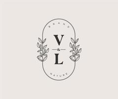 initial VL letters Beautiful floral feminine editable premade monoline logo suitable for spa salon skin hair beauty boutique and cosmetic company. vector