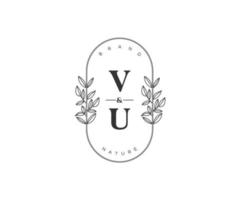 initial VU letters Beautiful floral feminine editable premade monoline logo suitable for spa salon skin hair beauty boutique and cosmetic company. vector