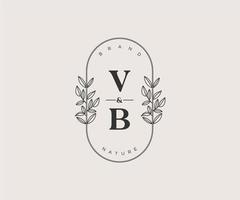 initial VB letters Beautiful floral feminine editable premade monoline logo suitable for spa salon skin hair beauty boutique and cosmetic company. vector