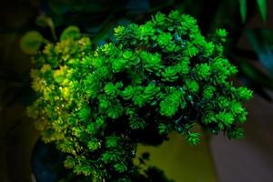 Plastic green leaf decorated mini plant background. Plastic plant. Plastic colorful decorative leaves. photo