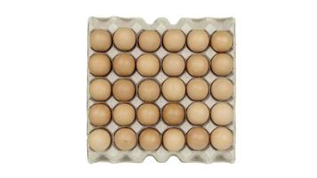 pollo huevos en caja de cartón caja aislado en blanco antecedentes con recorte camino. foto