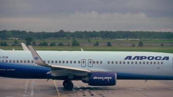 NOVOSIBIRSK, RUSSIAN FEDERATION JUNE 14, 2019 - Alrosa Boeing 737 800 EI ECM taxiing on the apron after landing, early morning. video