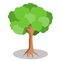 green tree design png