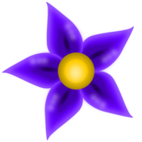 roxa flor Estrela png