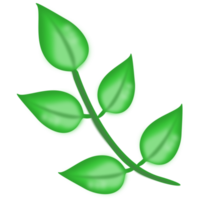 branch leaves 3d png